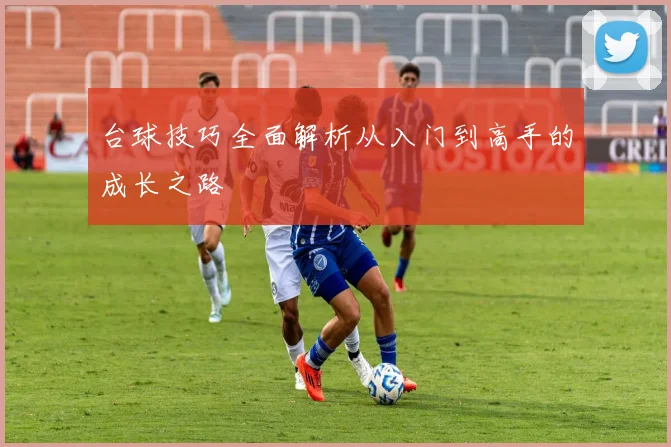 台球技巧全面解析从入门到高手的成长之路