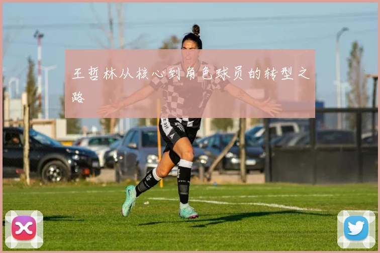 王哲林从核心到角色球员的转型之路