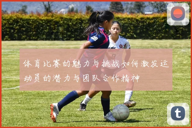 体育比赛的魅力与挑战如何激发运动员的潜力与团队合作精神